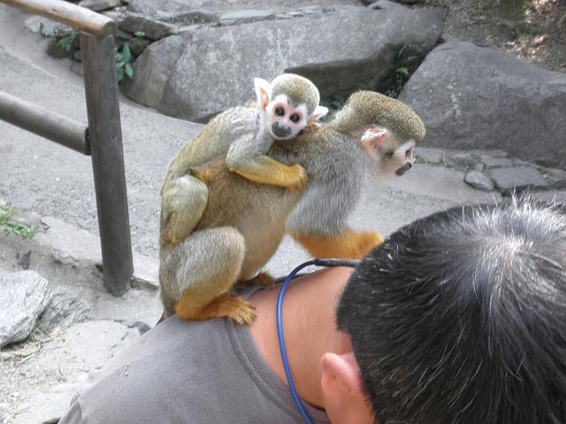 ��d�����