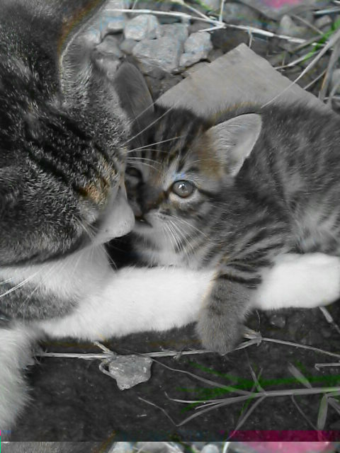 �܂܂Ƃ�������