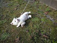 �����̂Ȃ�����