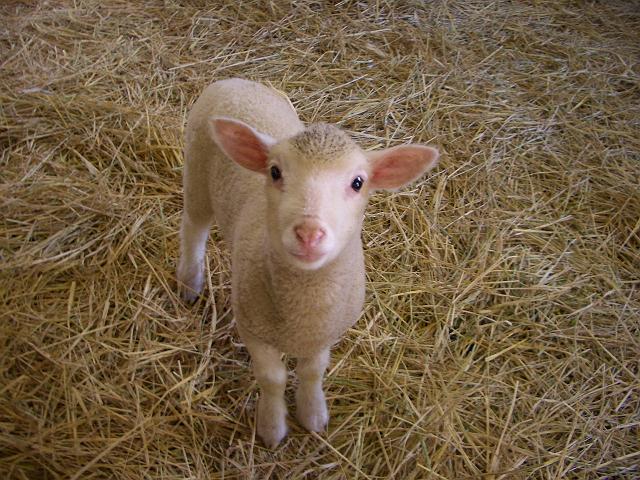 �q�r�����