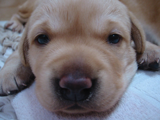 �ڂ��J������