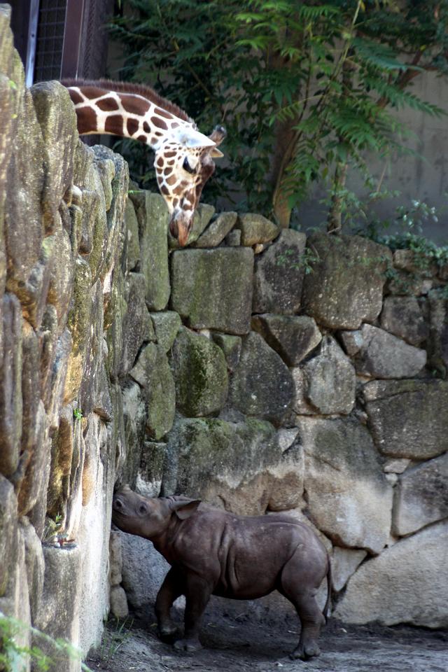 �q�T�C�E�~�[�c�E�L����