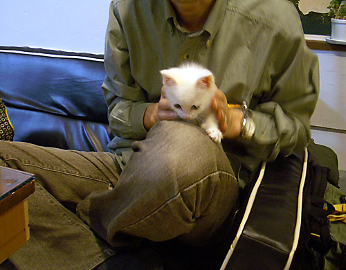 ����Q����