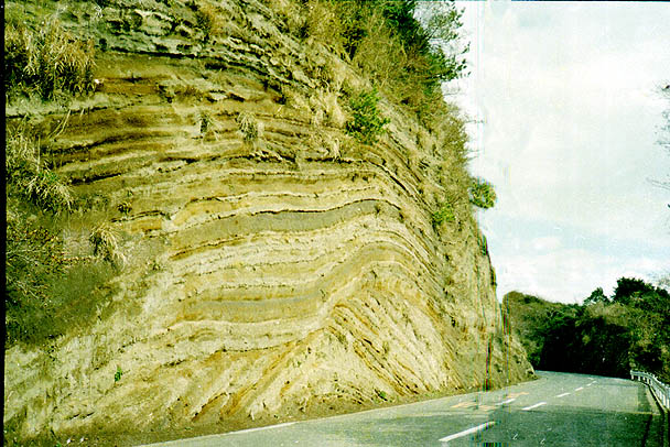 ��g�n�w�ؒf��