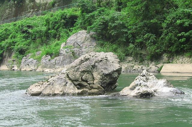 ���C�I����