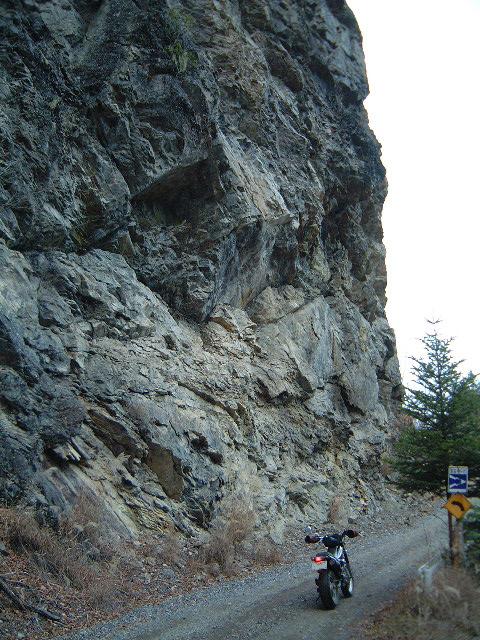 �����Č�����������