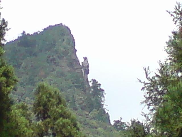 �������g�J�Q��