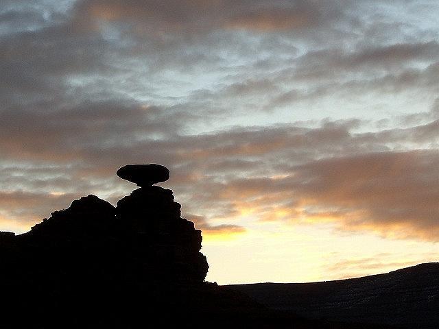 ���L�V�J���n�b�g