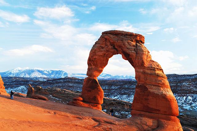 �V�R�A�[�`