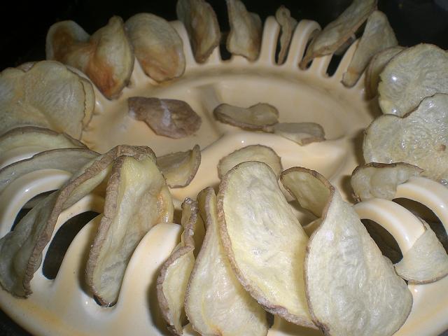 ���Ɛ��m���I�C���|�e�g�`�b�v�X