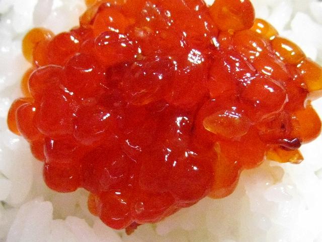 �y�b�g�ɂ��Ƃ���ƁA��