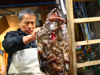 ��߂܂邲��1�{