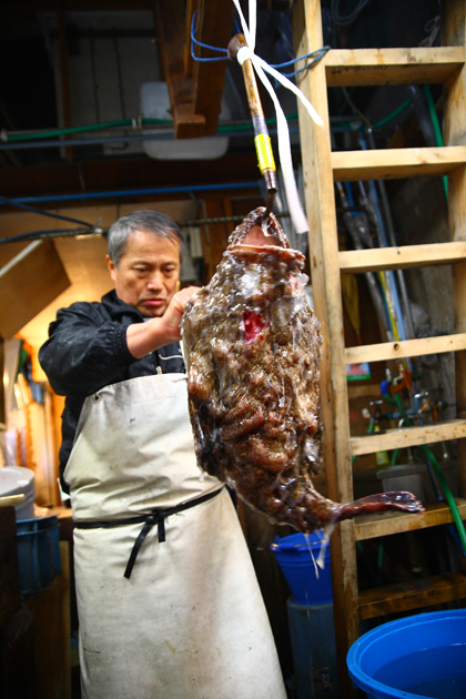 ��߂܂邲��1�{