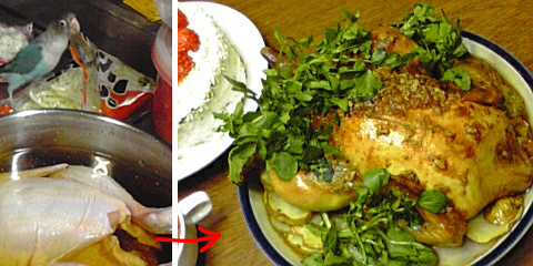 �傫�����Ə�������