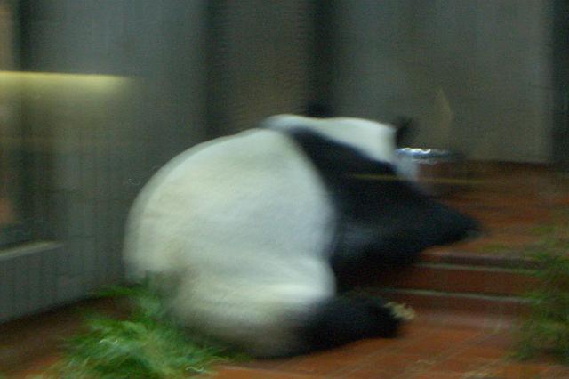 �����ȈӖ��ł�������ł��B