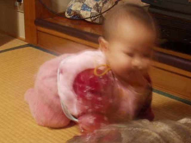 CG�ł͂���܂���B���H�����Ă��܂���B