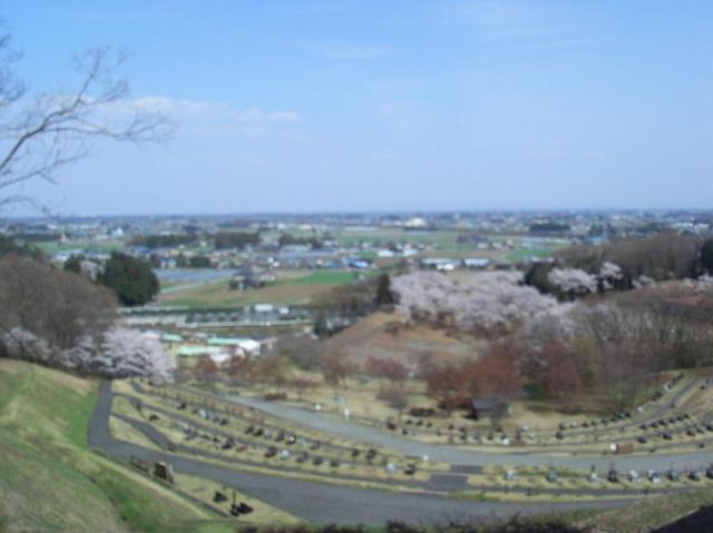 ��i�̂҂�ڂ�