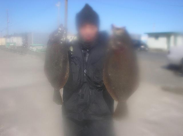 �q������ނ����L�O�ʐ^