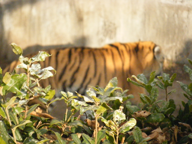 ���N�̊��x