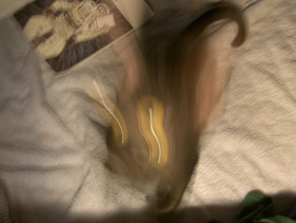 �}�b�n�q�L