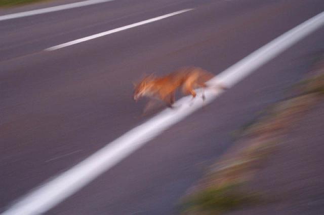 �L�^�L�c�l