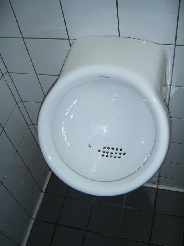 �A���X�e���_�����ۋ�`�̒j�q�g�C��