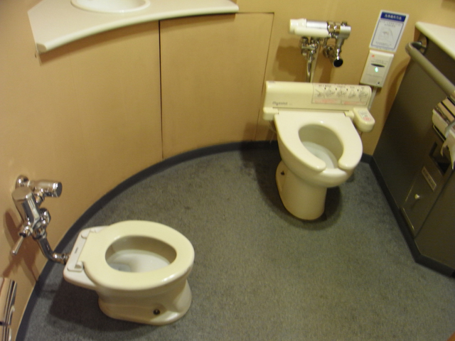 ���ǂ��g�C��