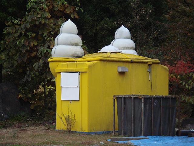 �������ǂ����͕s��