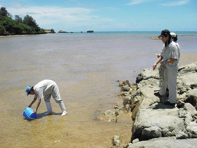 �H�ƍ��Z�I�E��̌�