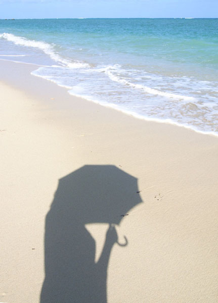 ���P�E�C�E���l