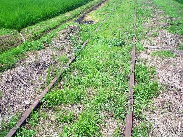 �āE�p���E���c�E���Z