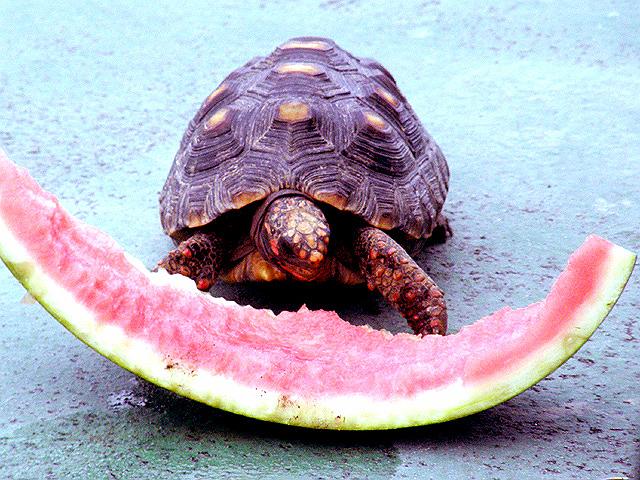 �������I