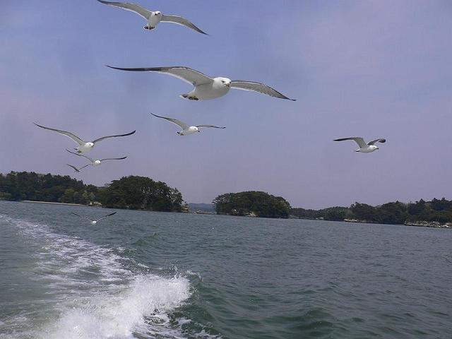 �����ɂāA�V���D�ɏ��܂���