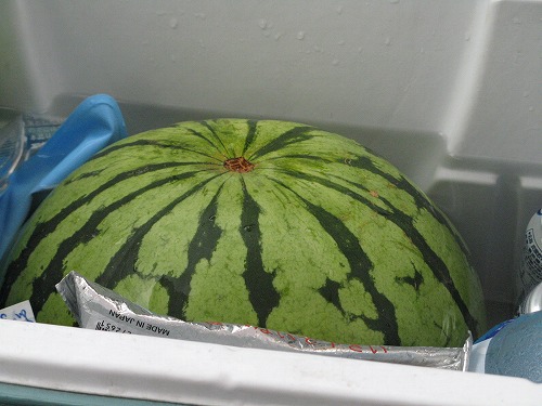 �ĂƂ�����