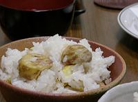 ���育�͂�