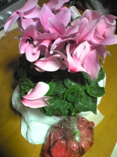 �V�N�������ƒЂ���