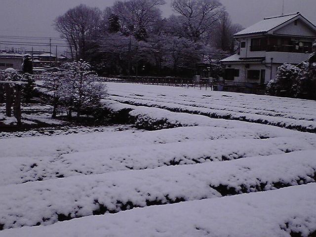 �����ɐς���