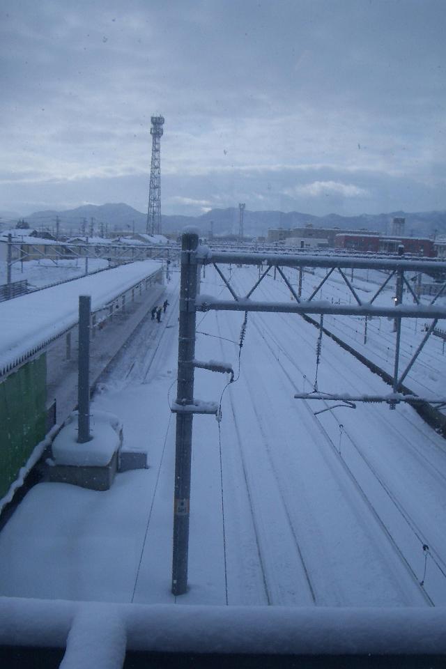 ���̍O�O�w