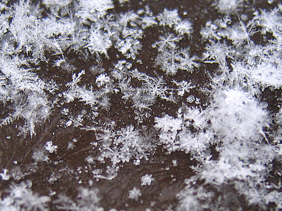 �X�m�[�t���[�N