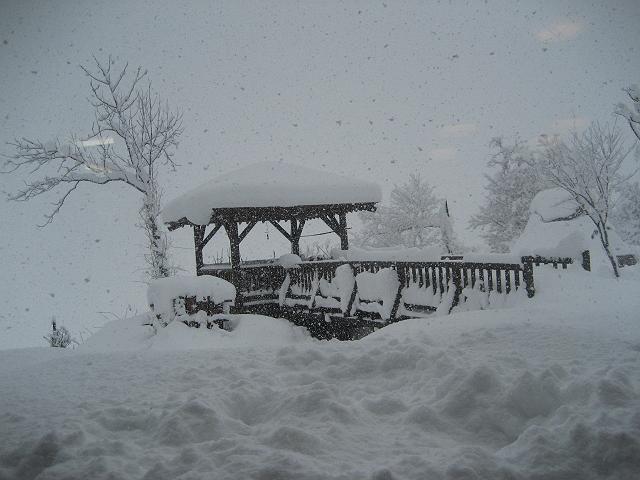 �����ɂ���͍~���