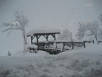 �����ɂ���͍~���