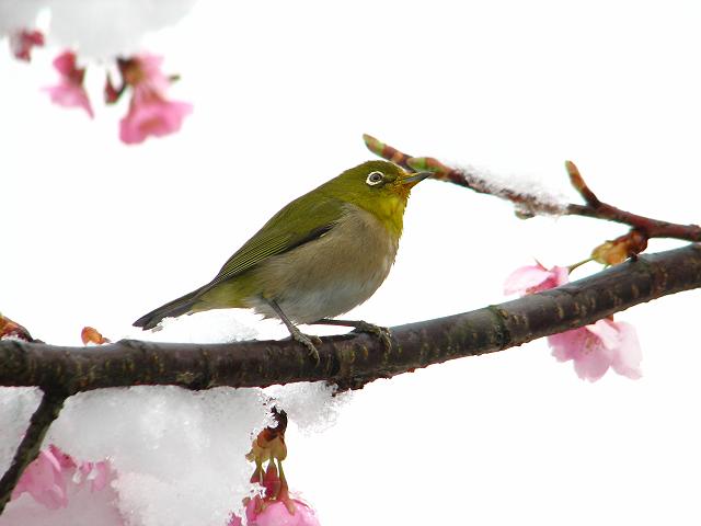 ���W���Ɛ�ƍ�