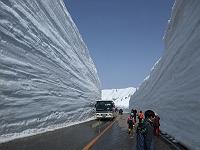 ���R�@��̑�J