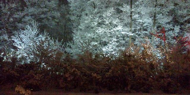 ���򗷍s�ł̂����܂�