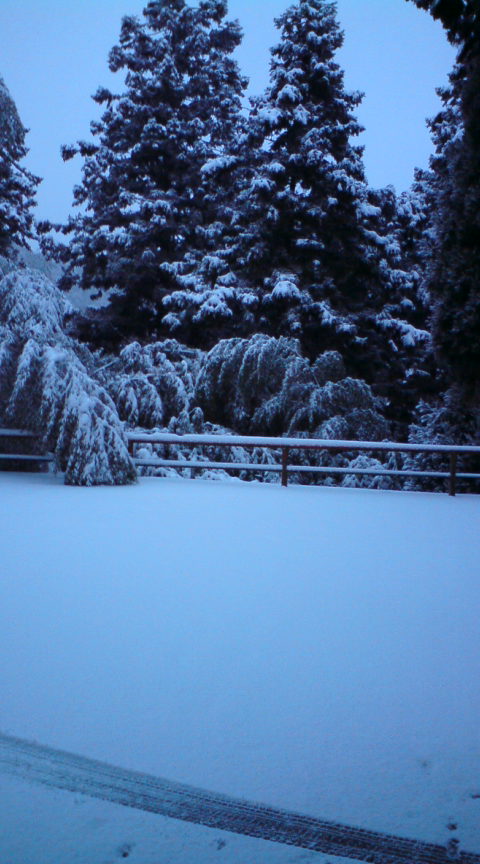 �Ȃ��Ȃ��n���Ȃ��B