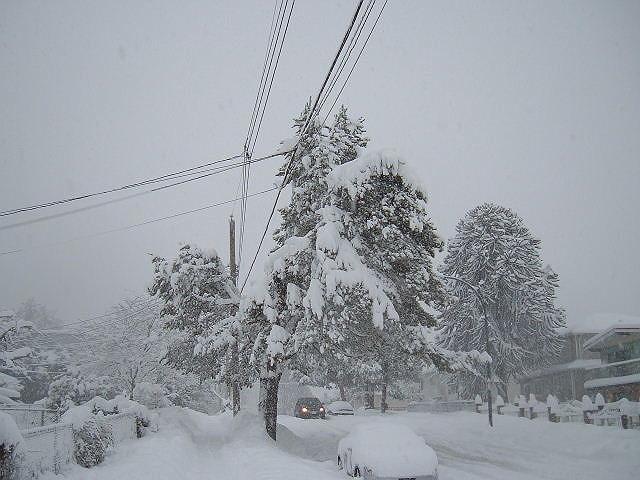 �����ē�Ŋ��肽��