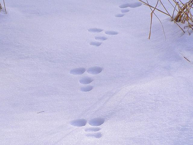 ��e�̑���