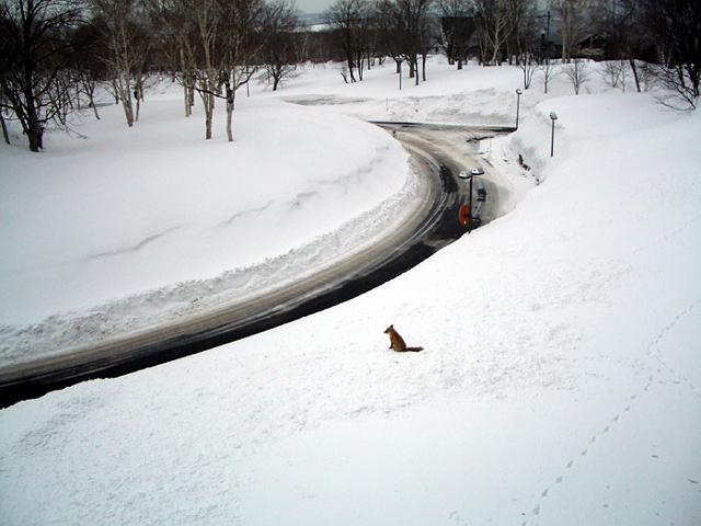 ���K�ׂ���