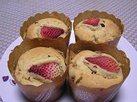 �C�`�S�}�t�B��