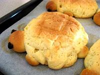 �J�������p��